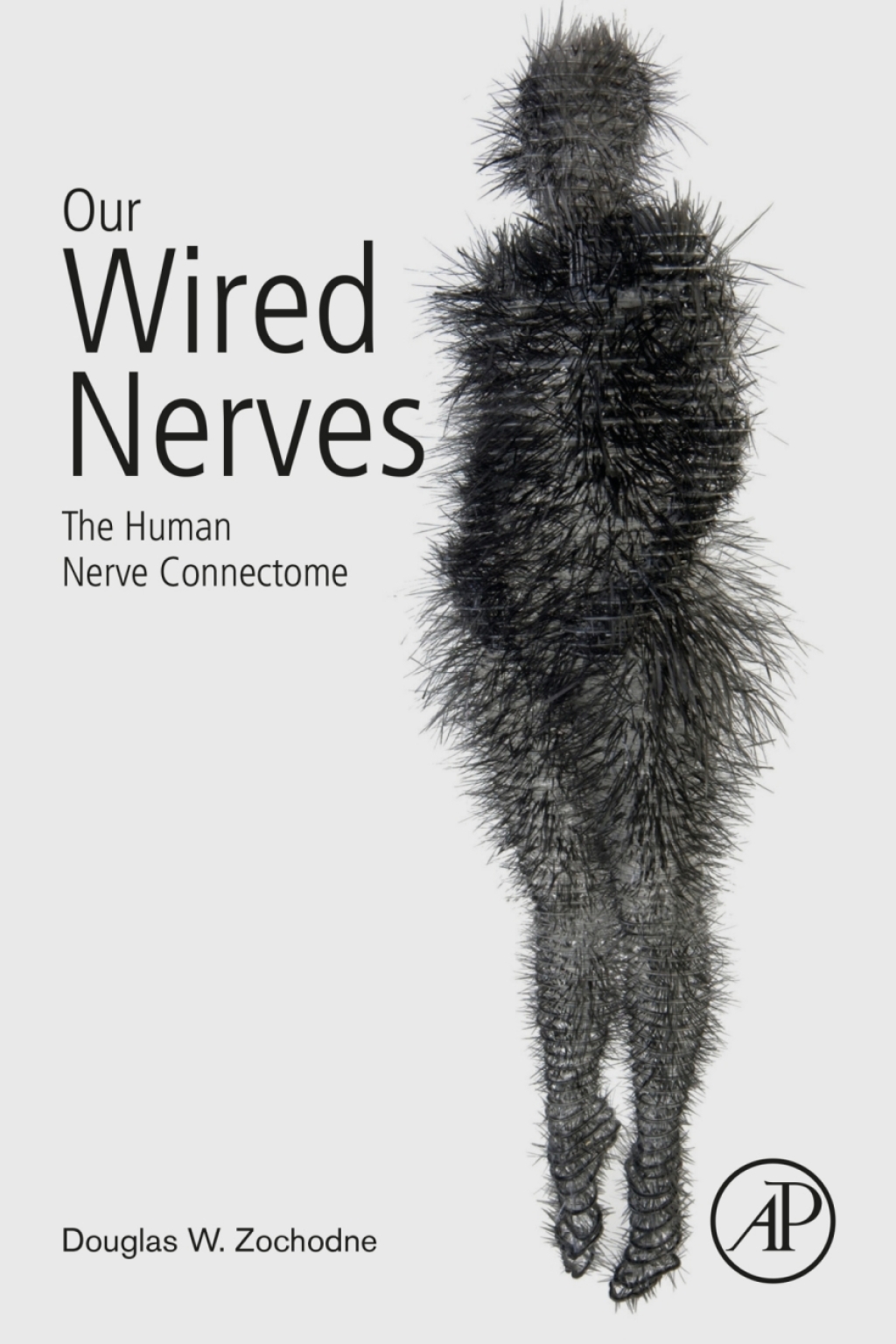 Our Wired Nerves The Human Nerve Connectome 