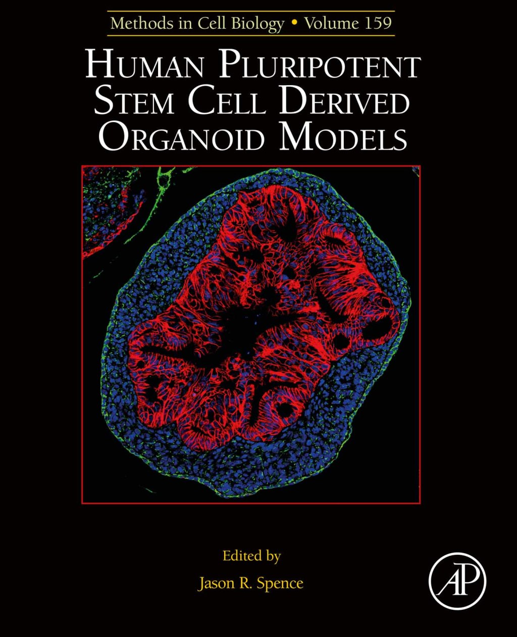 Human Pluripotent Stem Cell Derived Organoid Models 1st Edition