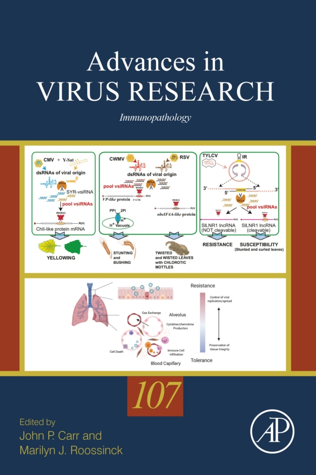 Immunopathology 1st Edition