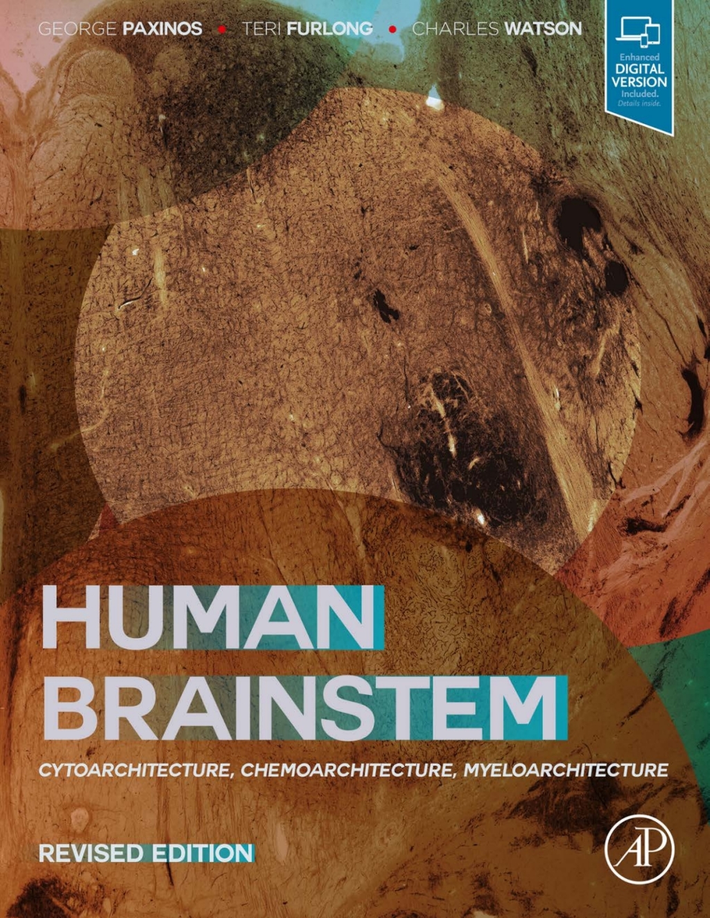 Human Brainstem Cytoarchitecture, Chemoarchitecture, Myeloarchitecture 