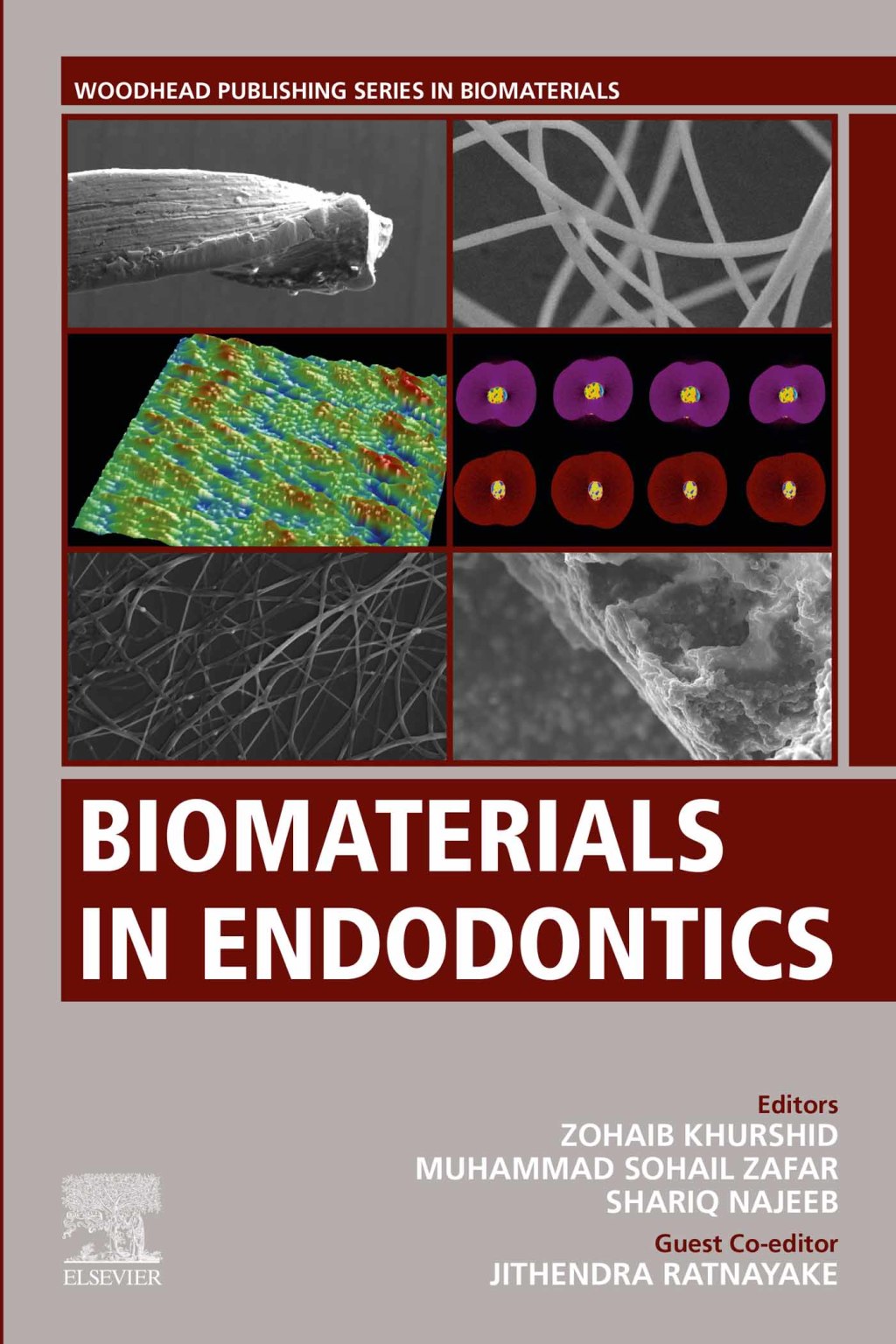 Biomaterials in Endodontics 