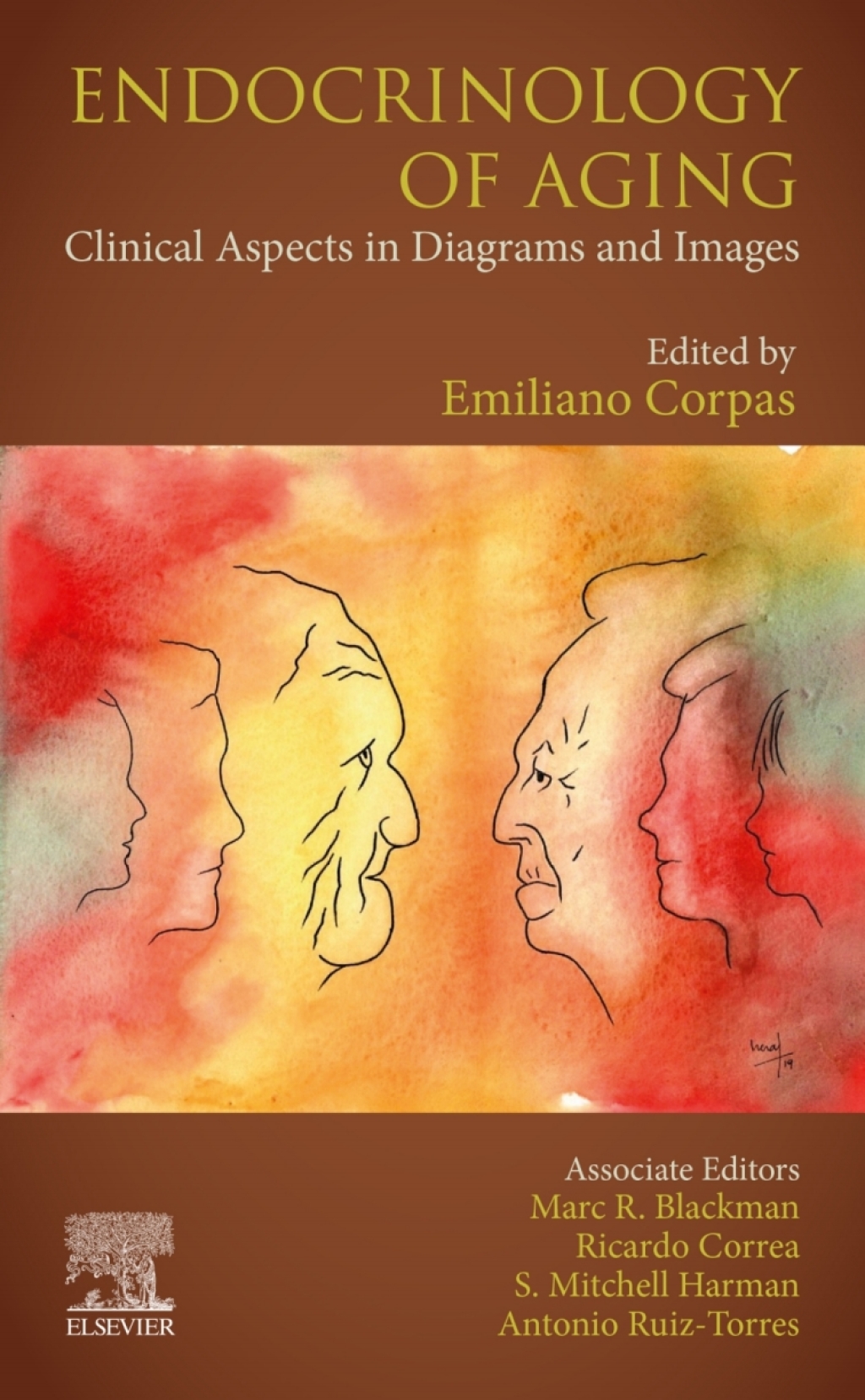 Endocrinology of Aging 1st Edition