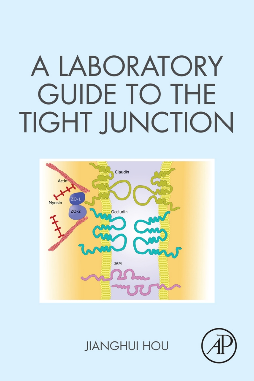 A Laboratory Guide to the Tight Junction 