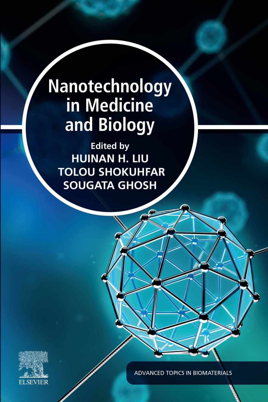 Nanotechnology in Medicine and Biology 