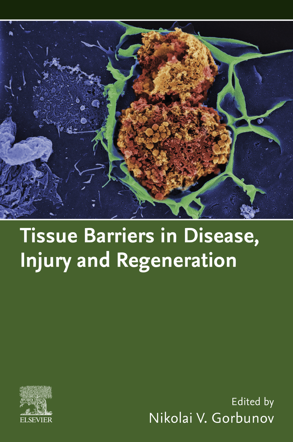 Tissue Barriers in Disease, Injury and Regeneration 