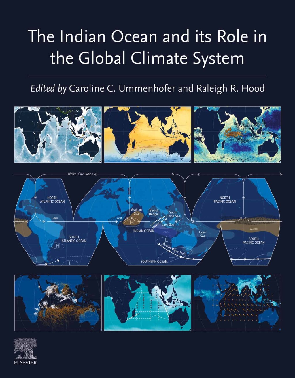 The Indian Ocean and its Role in the Global Climate System 1st Edition