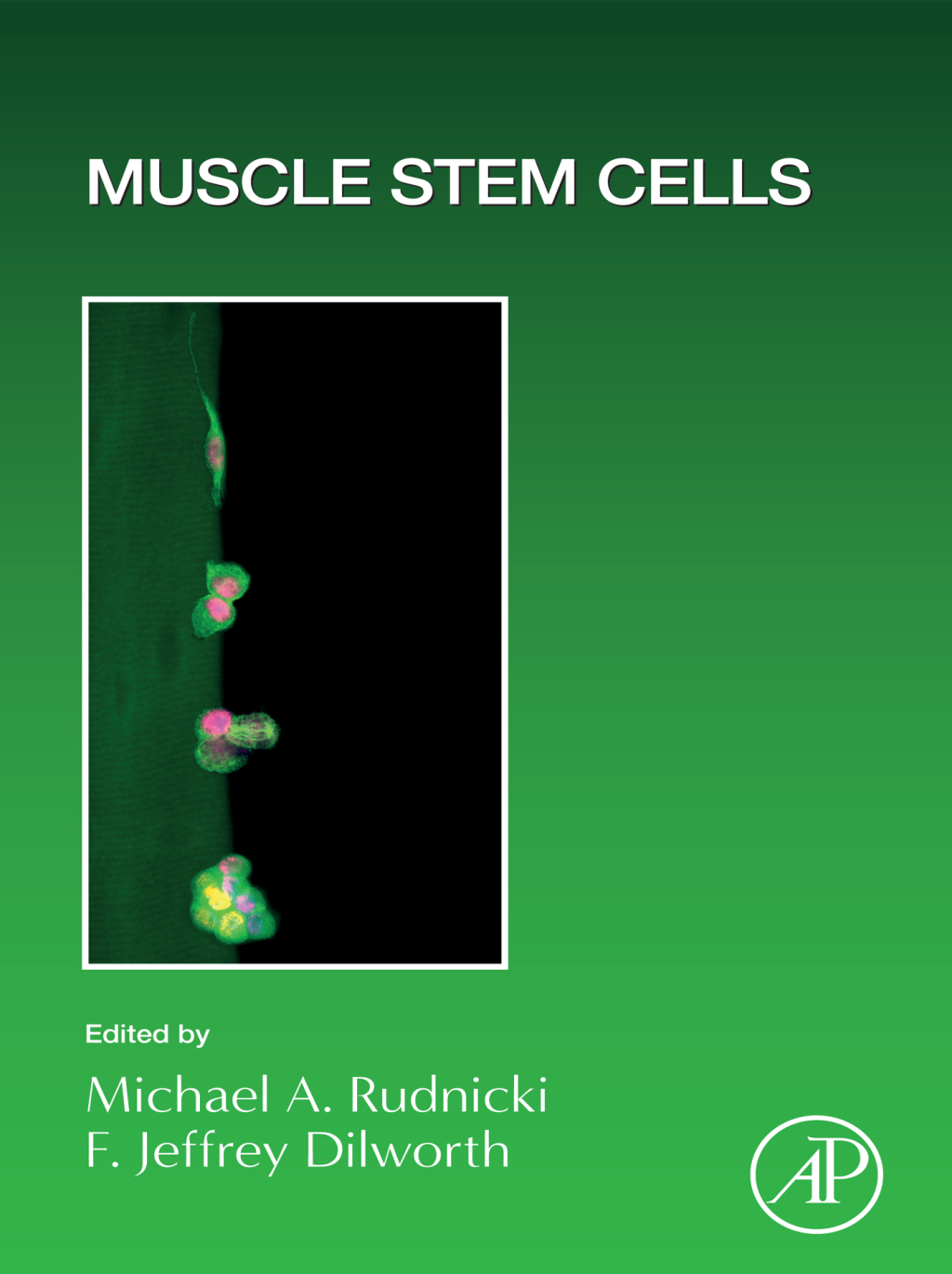 Muscle Stem Cells 1st Edition