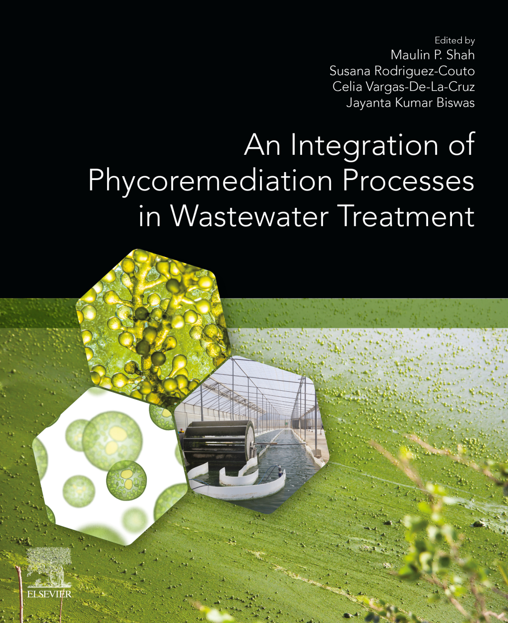 An Integration of Phycoremediation Processes in Wastewater Treatment 