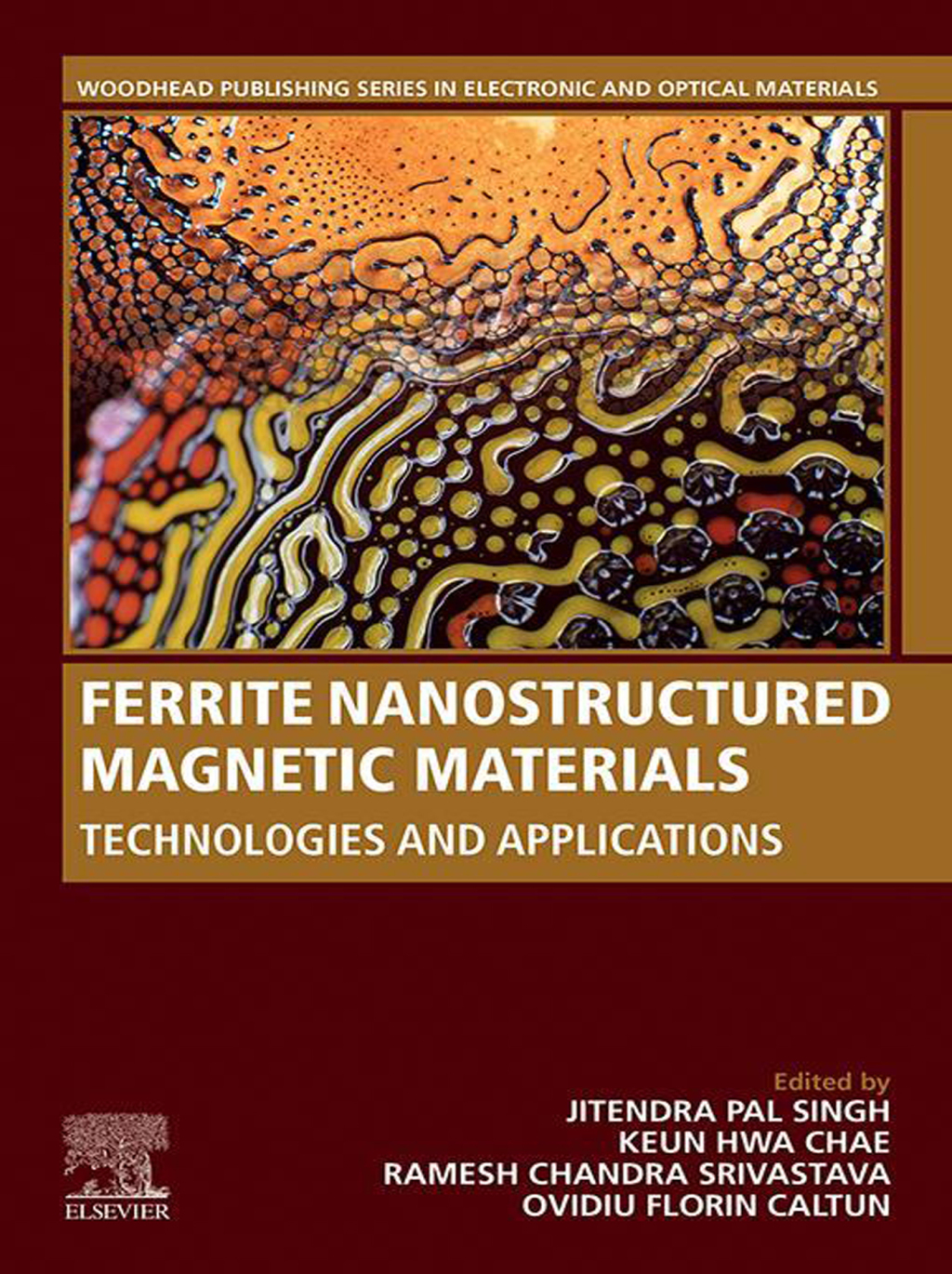 Ferrite Nanostructured Magnetic Materials Technologies and Applications 1st Edition