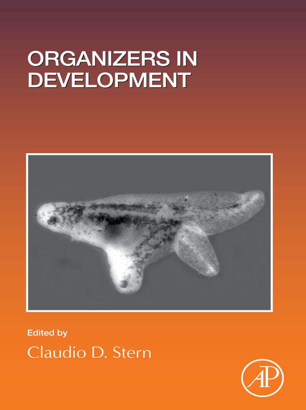 Organizers in Development 1st Edition