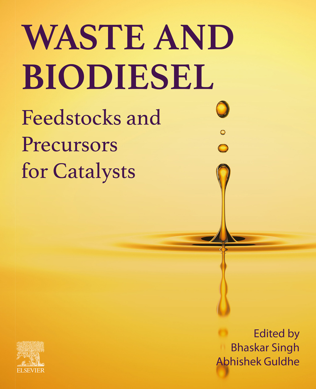 Waste and Biodiesel Feedstocks and Precursors for Catalysts 