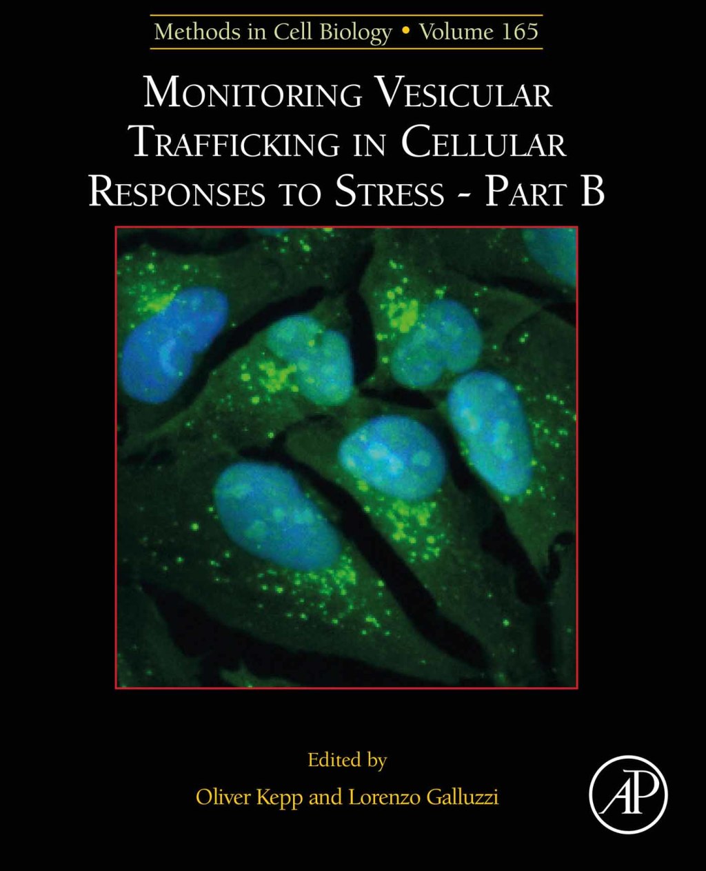 Monitoring Vesicular Trafficking in Cellular Responses to Stress - Part B 