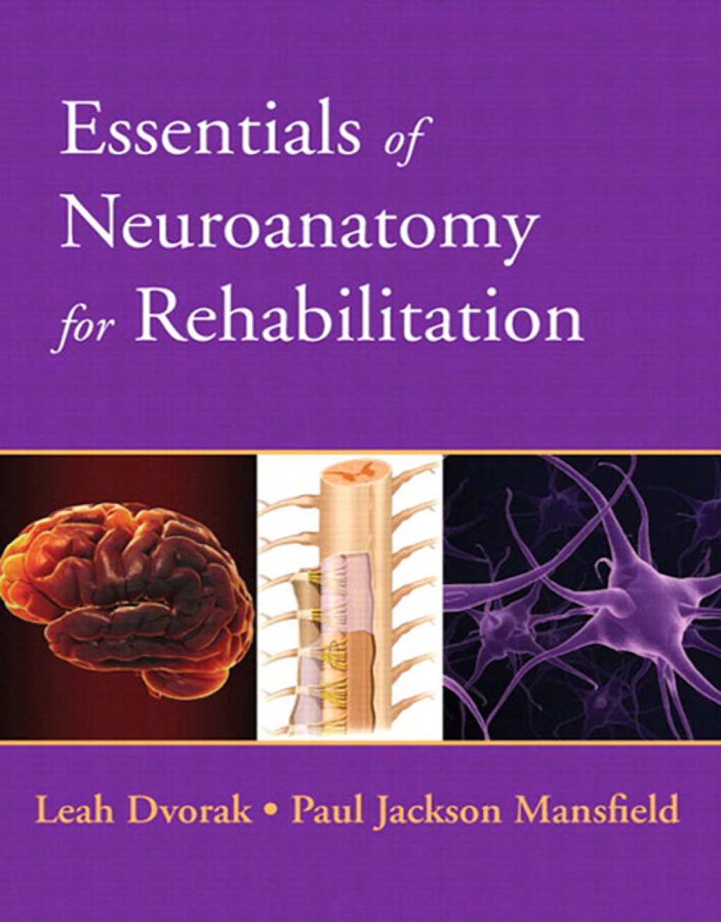 Essentials of Neuroanatomy for Rehabilitation 1st Edition