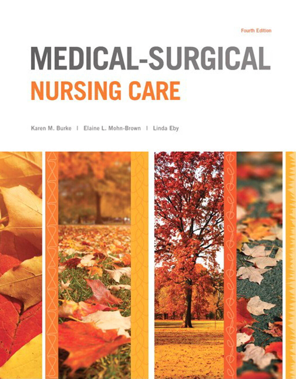 Medical-Surgical Nursing Care 4th Edition