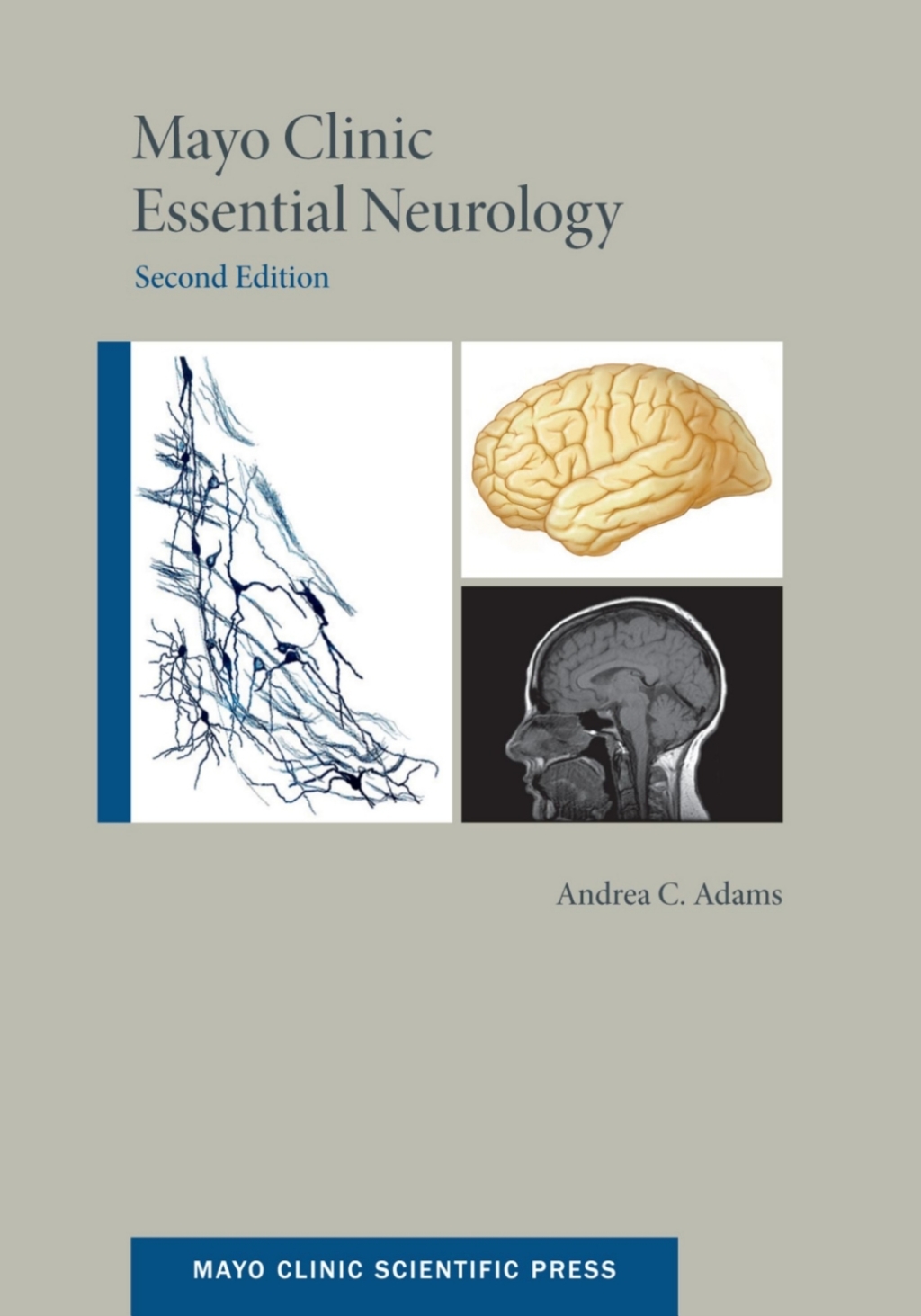Mayo Clinic Essential Neurology 2nd Edition