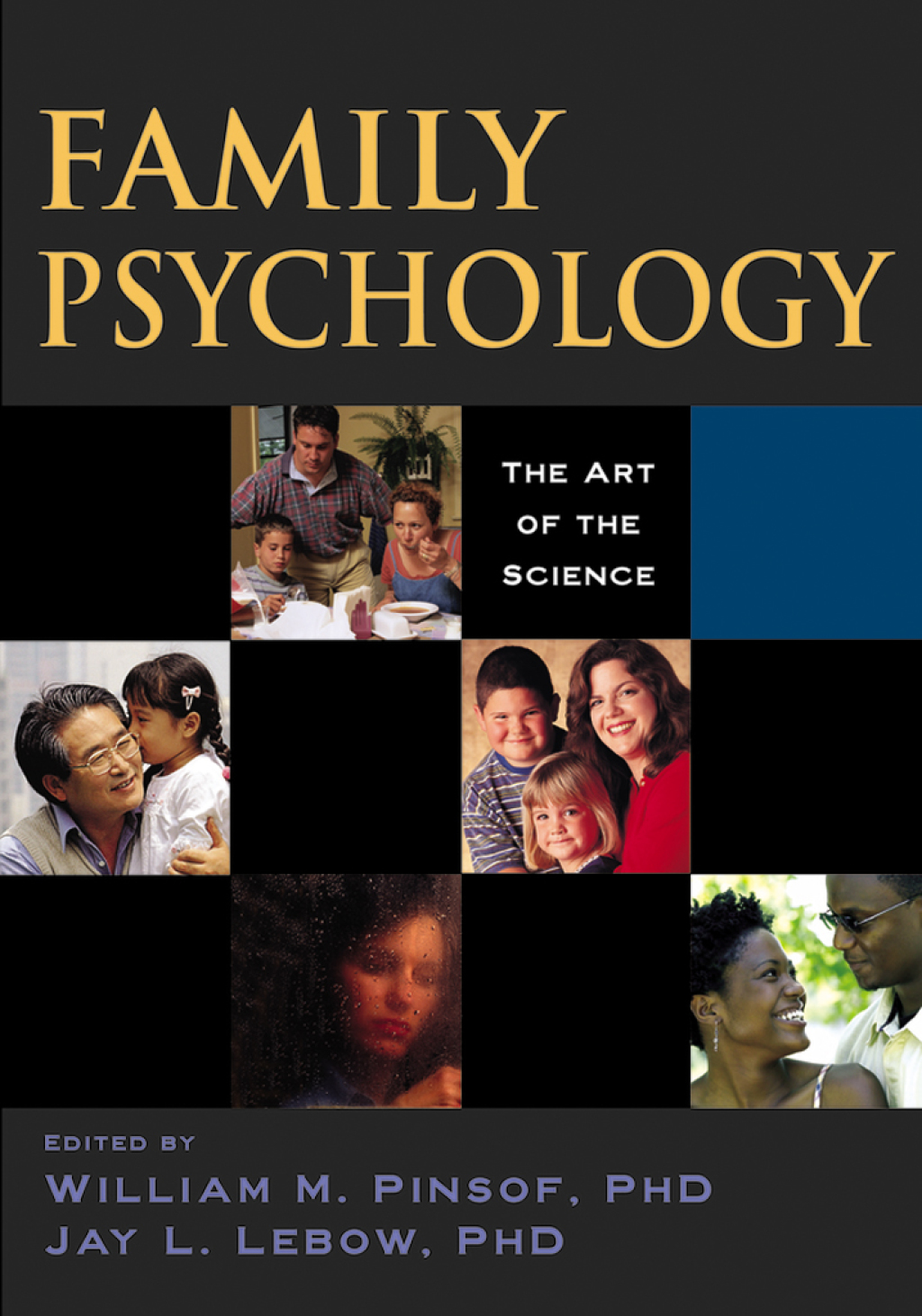 Family Psychology The Art of the Science 1st Edition