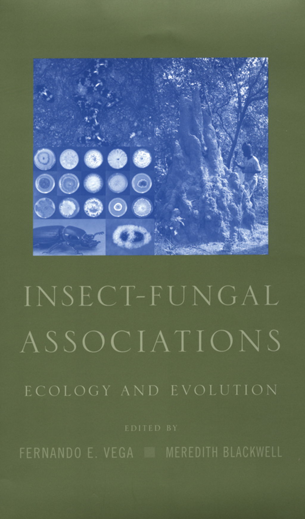 Insect-Fungal Associations Ecology and Evolution 1st Edition