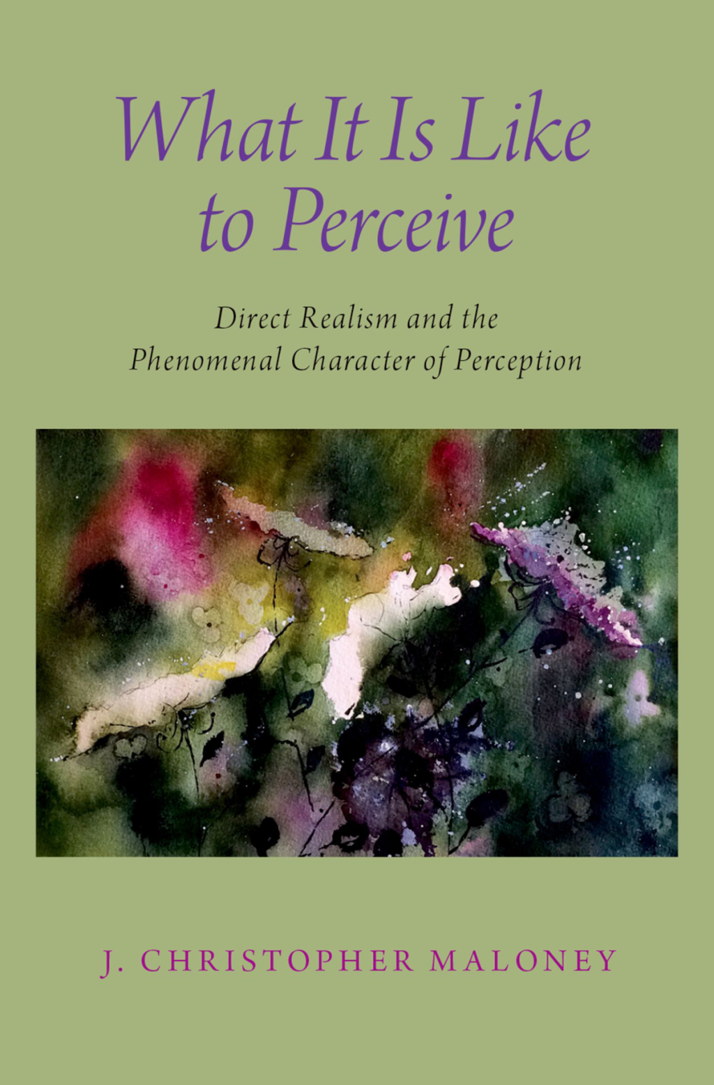 What It Is Like To Perceive Direct Realism and the Phenomenal Character of Perception 