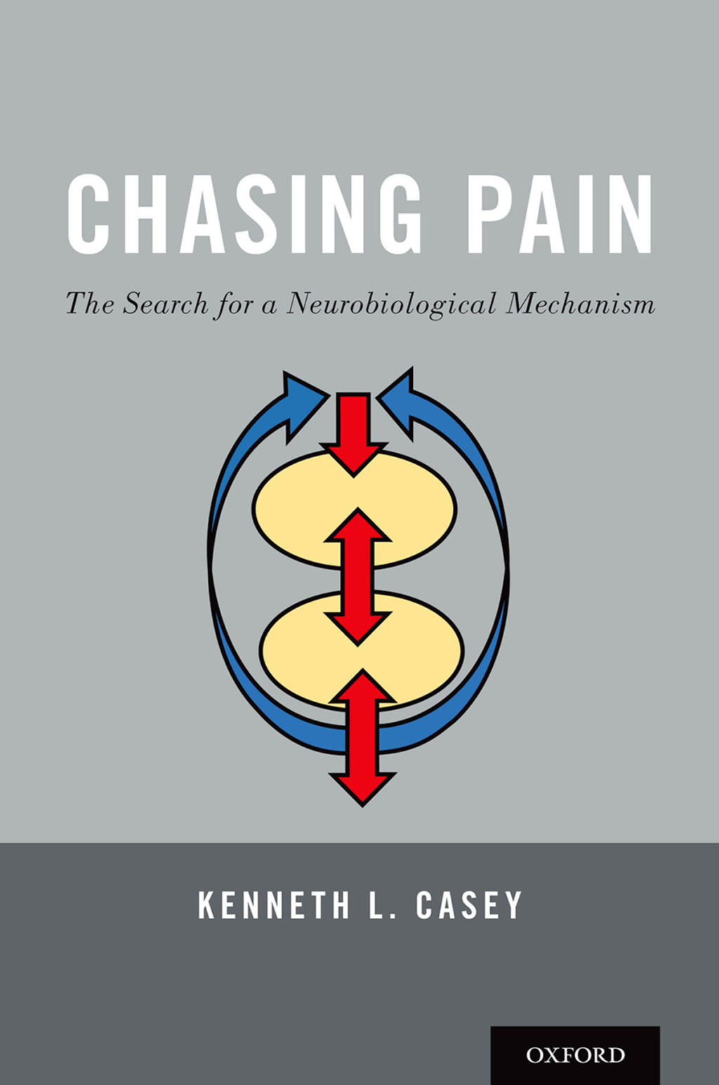 Chasing Pain: The Search for a Neurobiological Mechanism of Pain 1st Edition