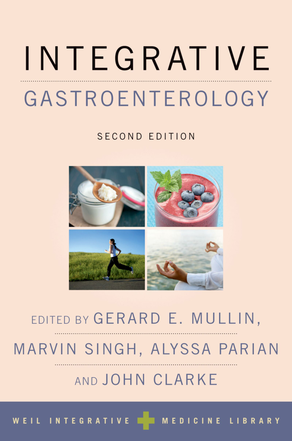 Integrative Gastroenterology 2nd Edition