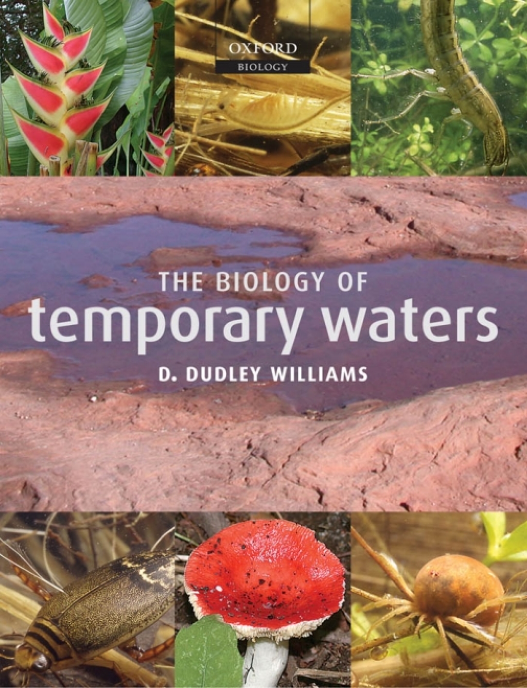 The Biology of Temporary Waters 