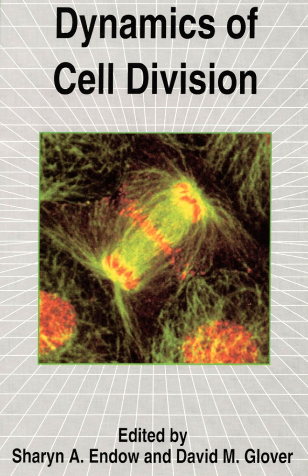 Dynamics of Cell Division 1st Edition