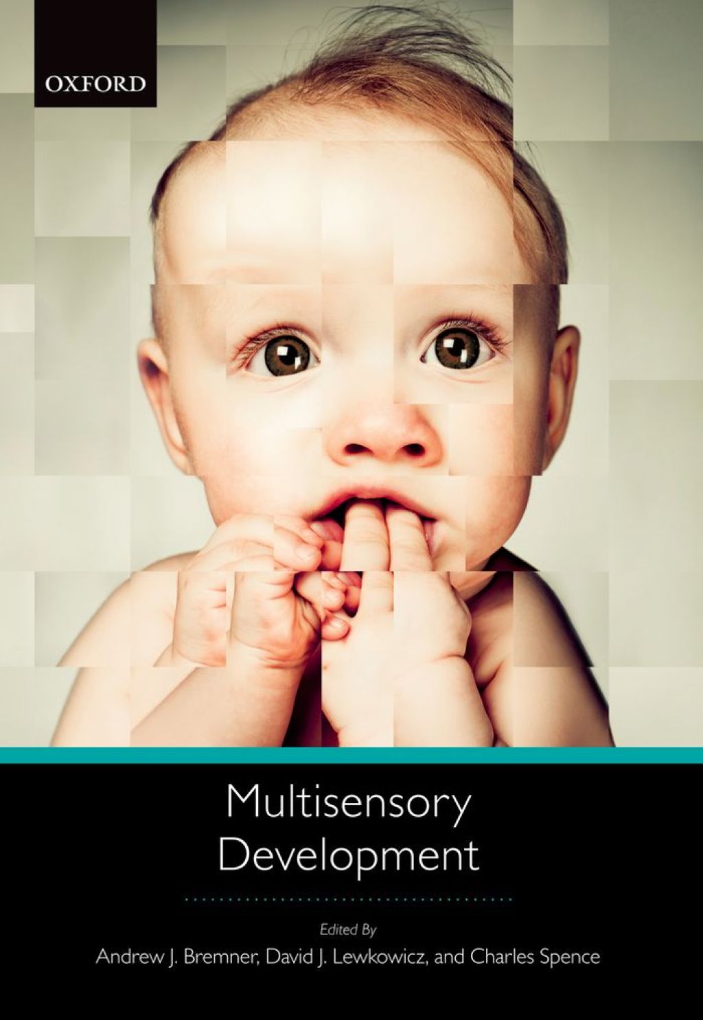 Multisensory Development 1st Edition