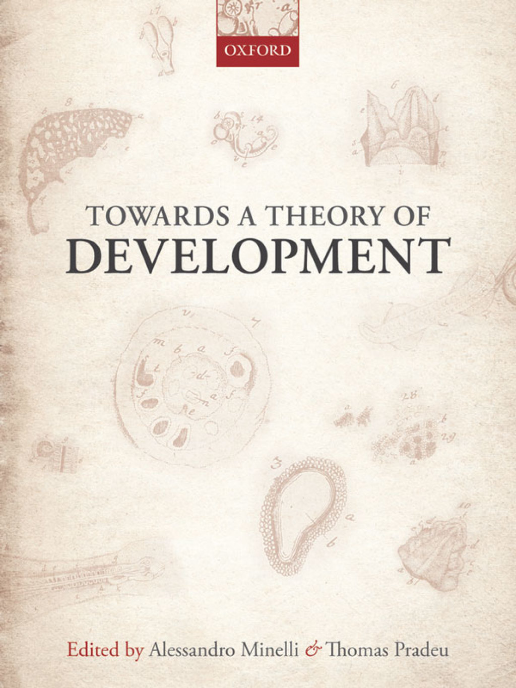 Towards a Theory of Development 1st Edition