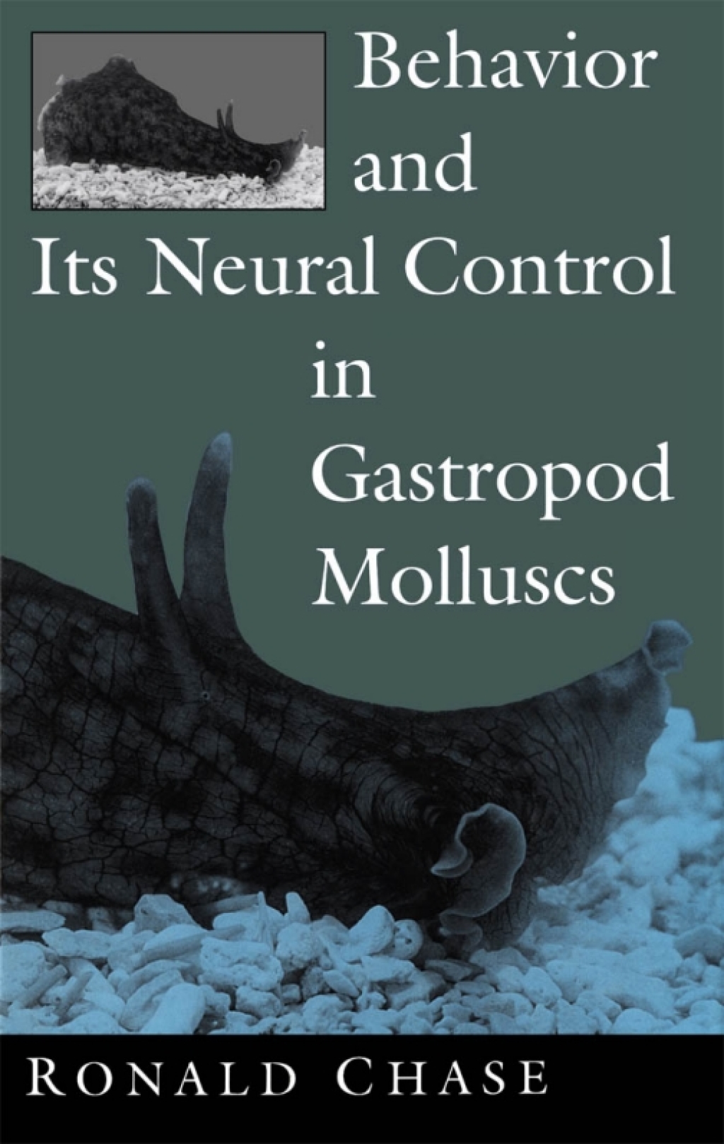 Behavior and Its Neural Control in Gastropod Molluscs 