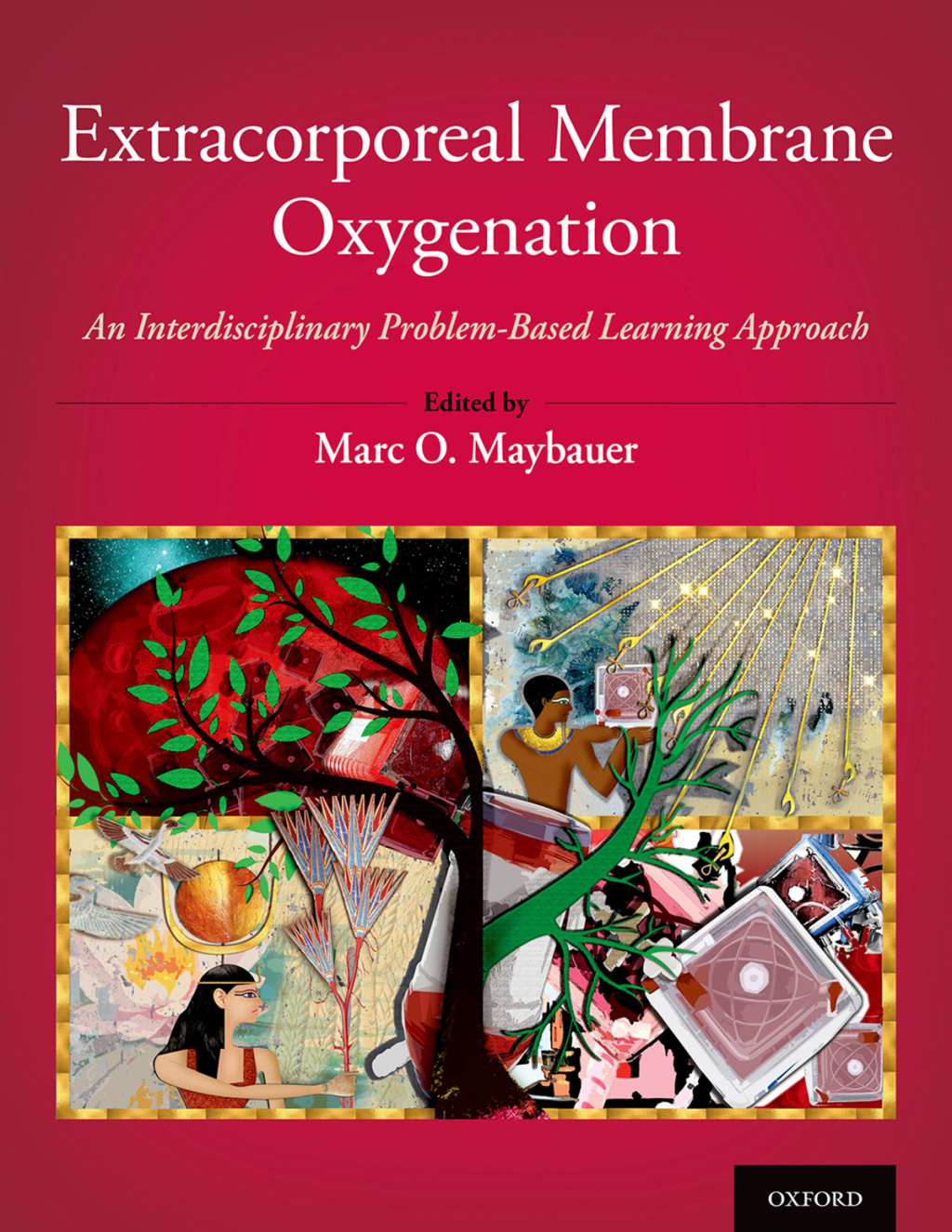 Extracorporeal Membrane Oxygenation An Interdisciplinary Problem-Based Learning Approach 