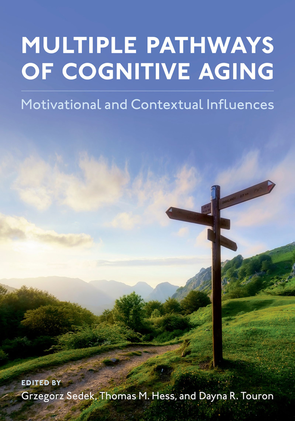 Multiple Pathways of Cognitive Aging Motivational and Contextual Influences 