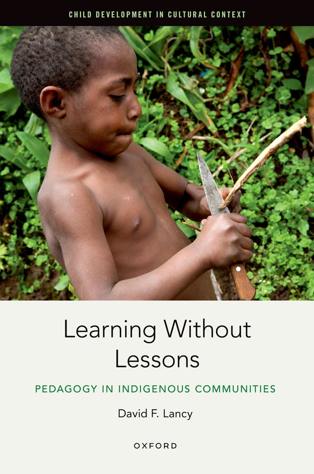 Learning Without Lessons Pedagogy in Indigenous Communities 