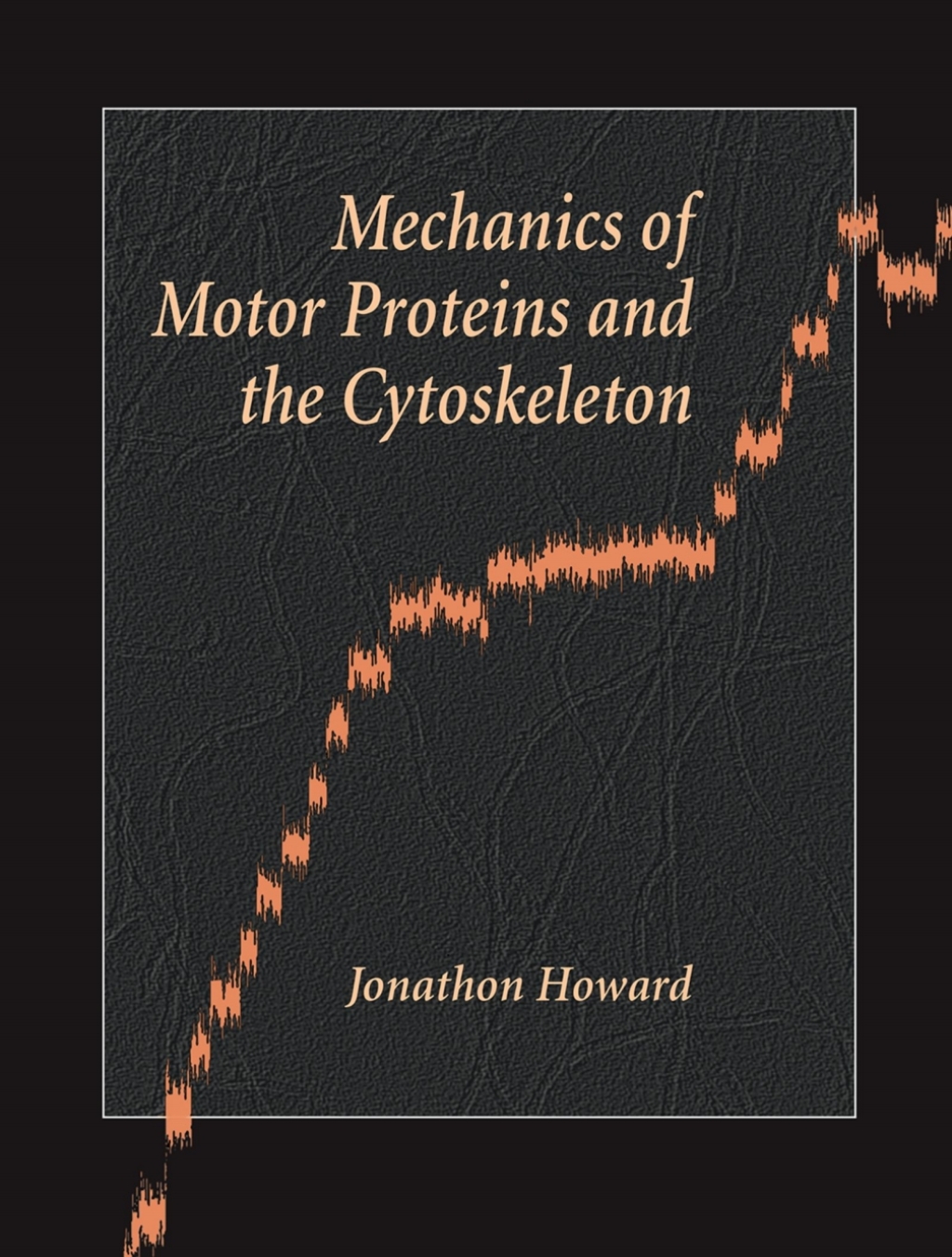 Mechanics of Motor Proteins and the Cytoskeleton 1st Edition
