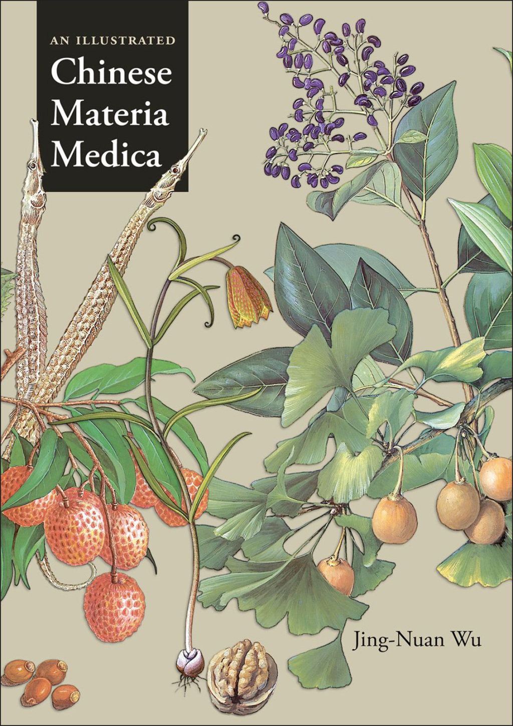 An Illustrated Chinese Materia Medica 