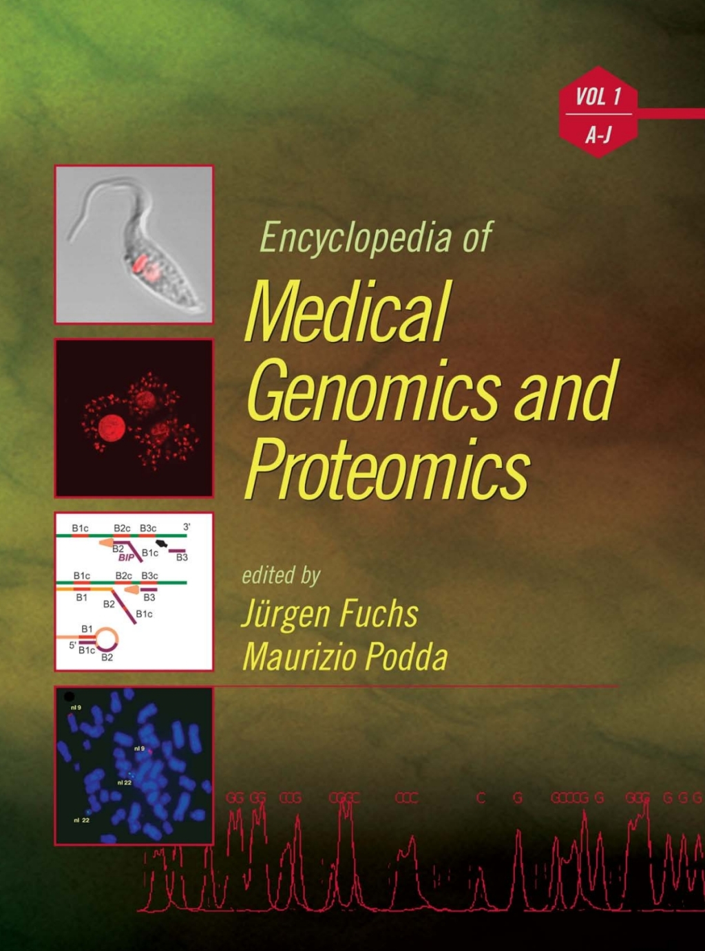 Encyclopedia of Medical Genomics and Proteomics, 2 Volume Set 1st Edition