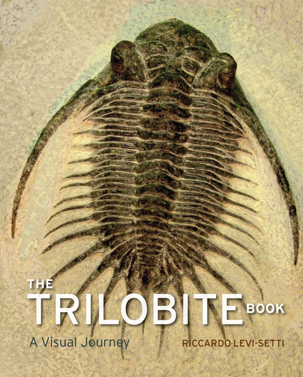 The Trilobite Book A Visual Journey 1st Edition
