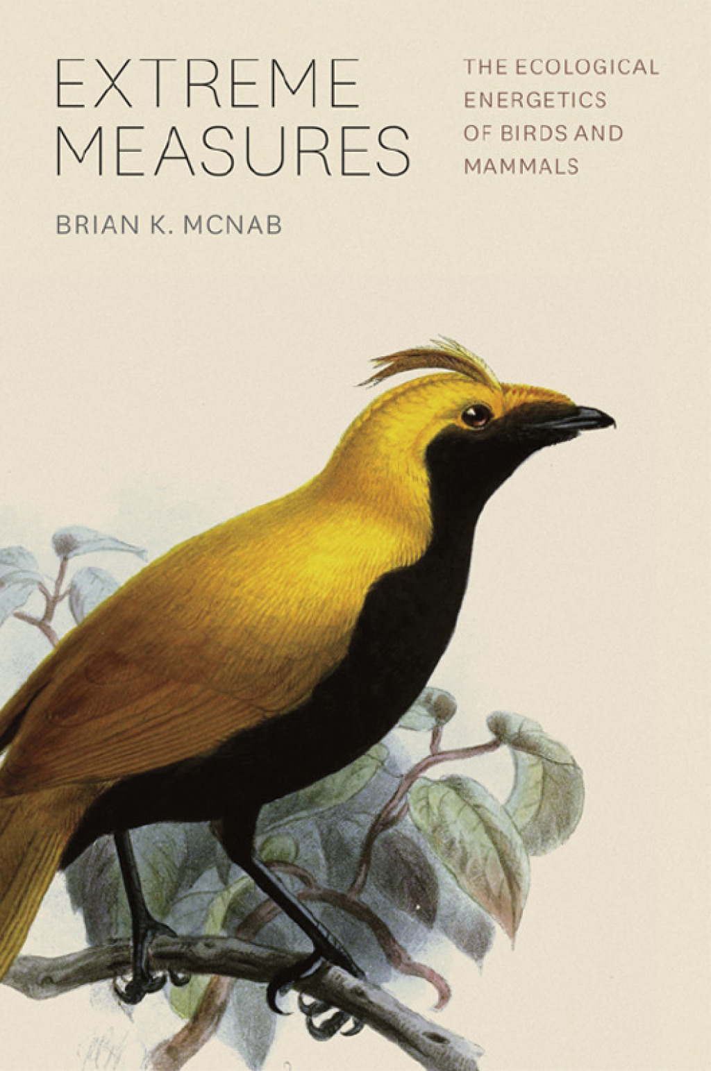 Extreme Measures The Ecological Energetics of Birds and Mammals 1st Edition