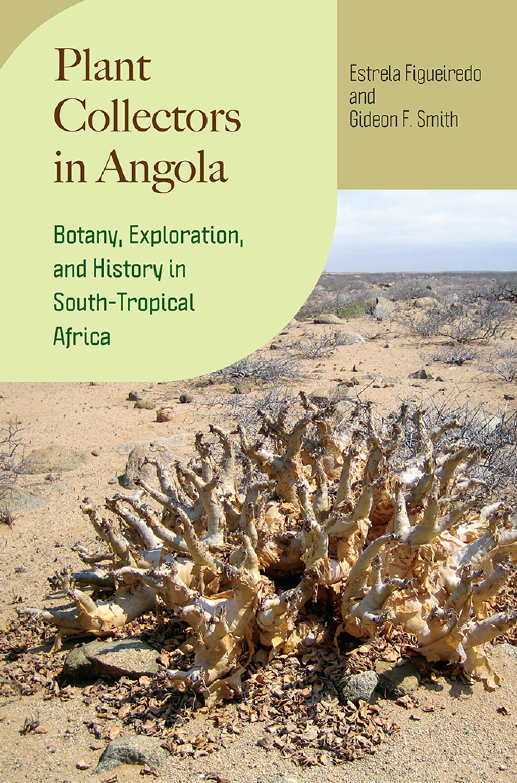 Plant Collectors in Angola Botany, Exploration, and History in South-Tropical Africa 