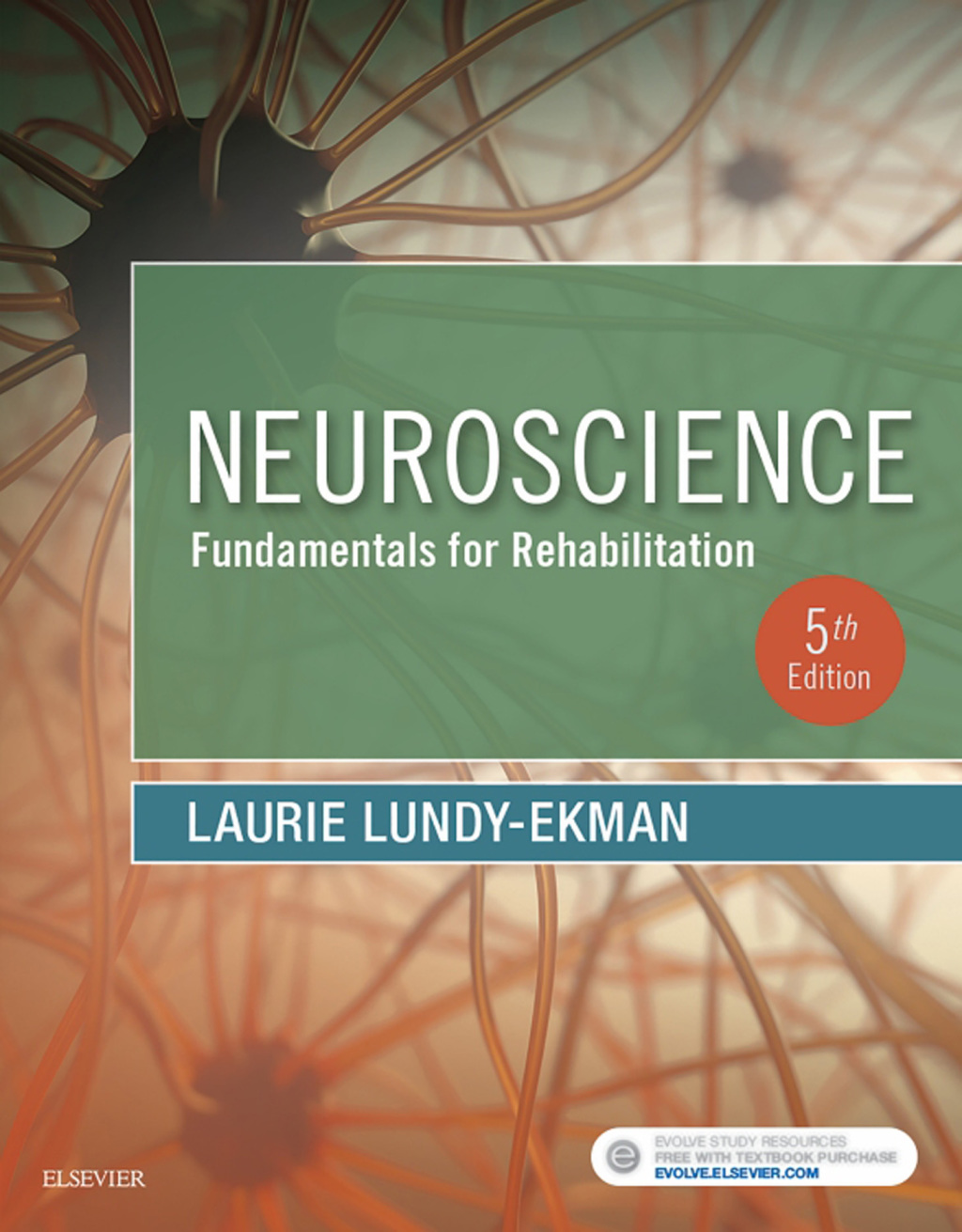 Neuroscience: Fundamentals for Rehabilitation 5th Edition