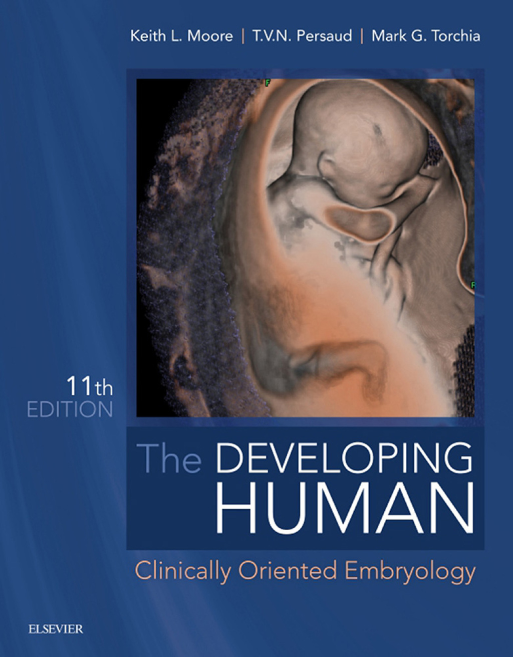 The Developing Human Clinically Oriented Embryology 11th Edition