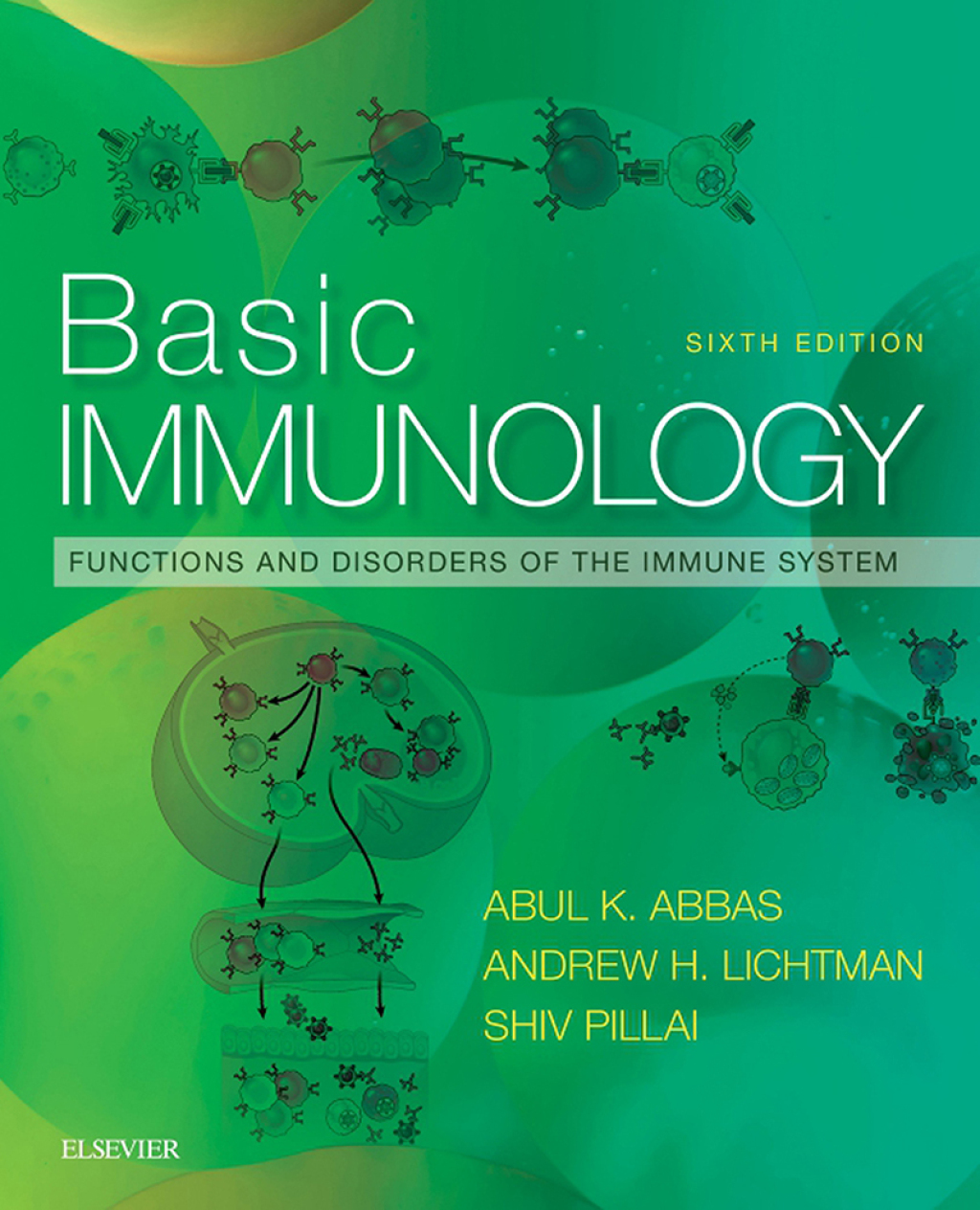 Basic Immunology Functions and Disorders of the Immune System 6th Edition