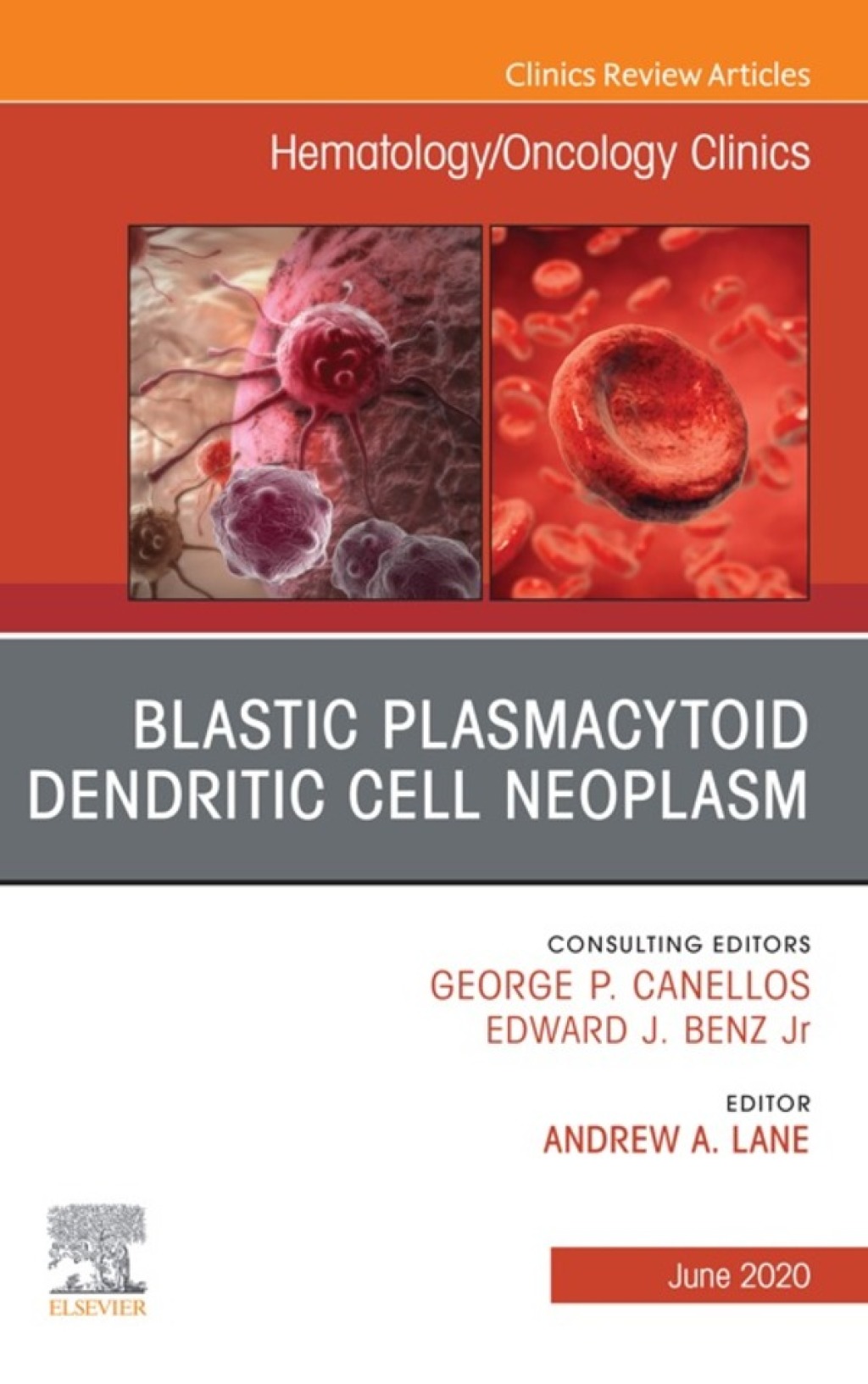 Blastic Plasmacytoid Dendritic Cell Neoplasm An Issue of Hematology/Oncology Clinics of North America 