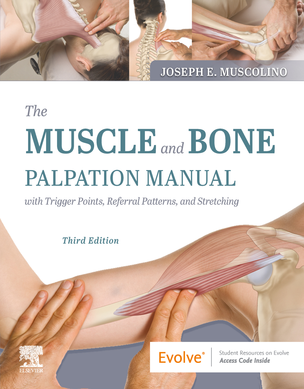 The Muscle and Bone Palpation Manual with Trigger Points, Referral Patterns and Stretching 3rd Edition