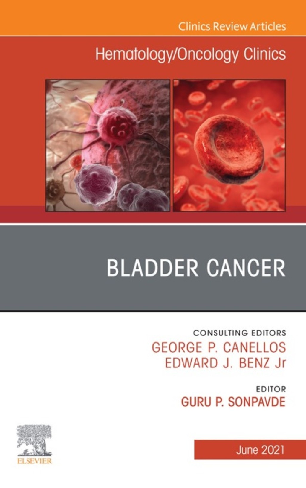Bladder Cancer, An Issue of Hematology/Oncology Clinics of North America 