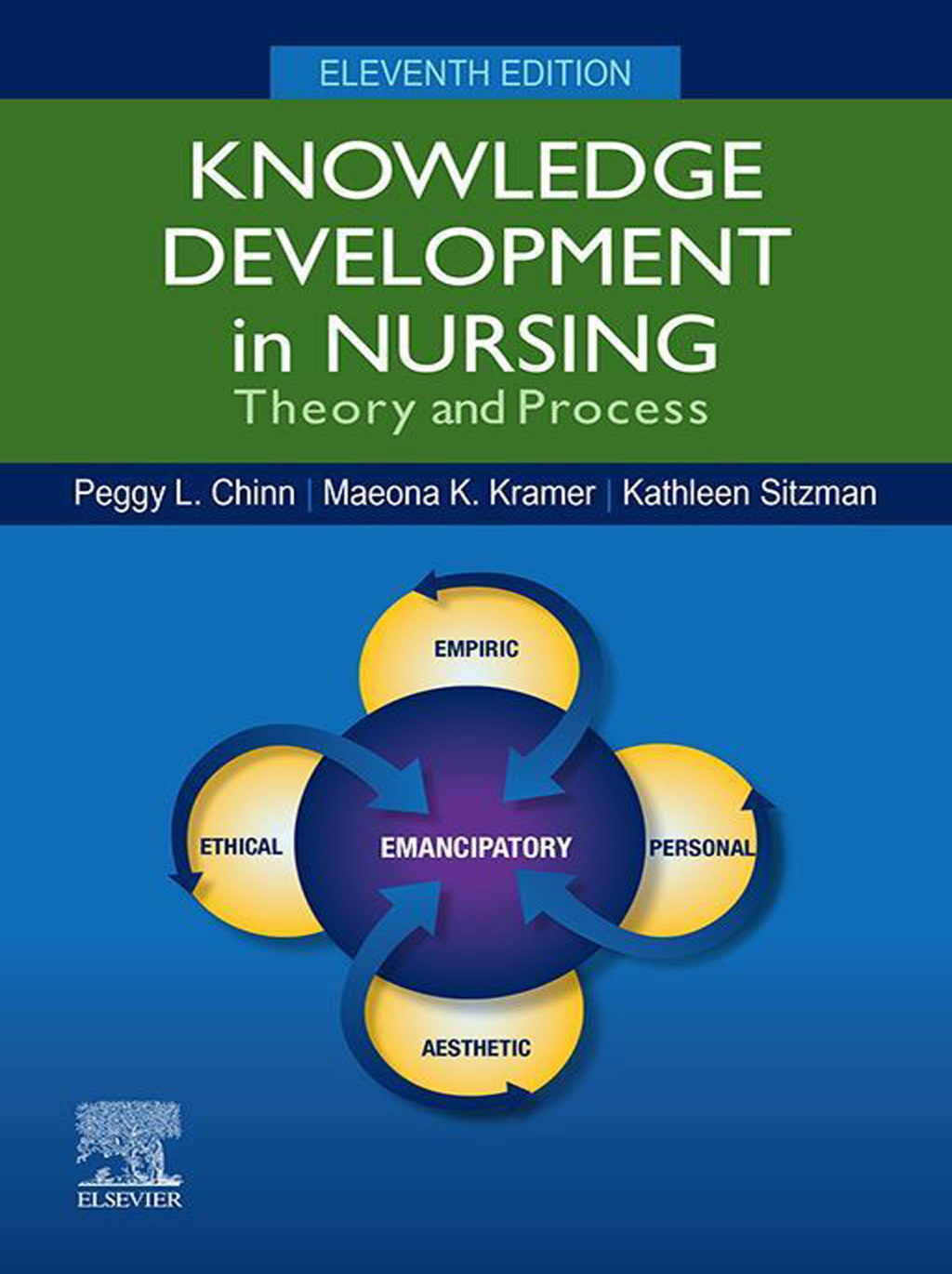 Knowledge Development in Nursing Theory and Process 11th Edition