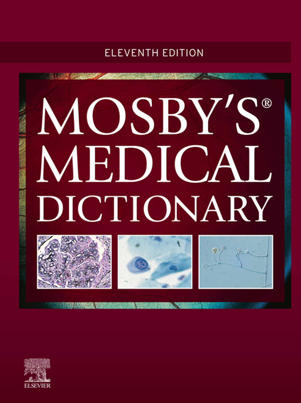 Mosby's Medical Dictionary 11th Edition