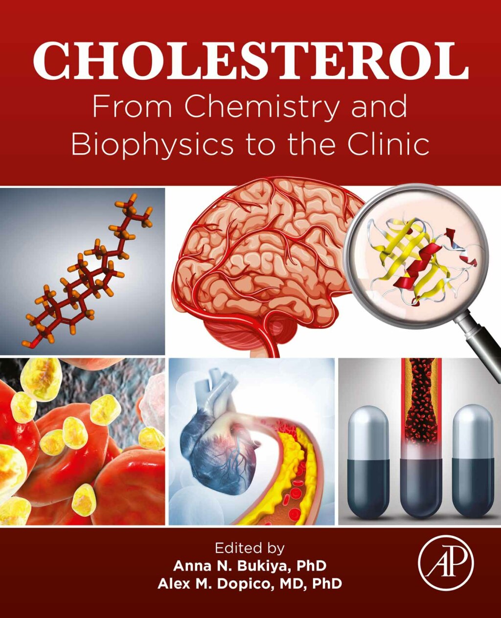 Cholesterol From Chemistry and Biophysics to the Clinic 
