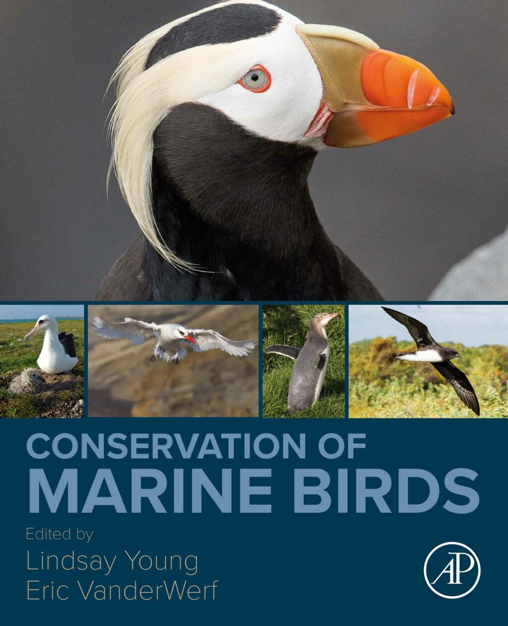 Conservation of Marine Birds 1st Edition