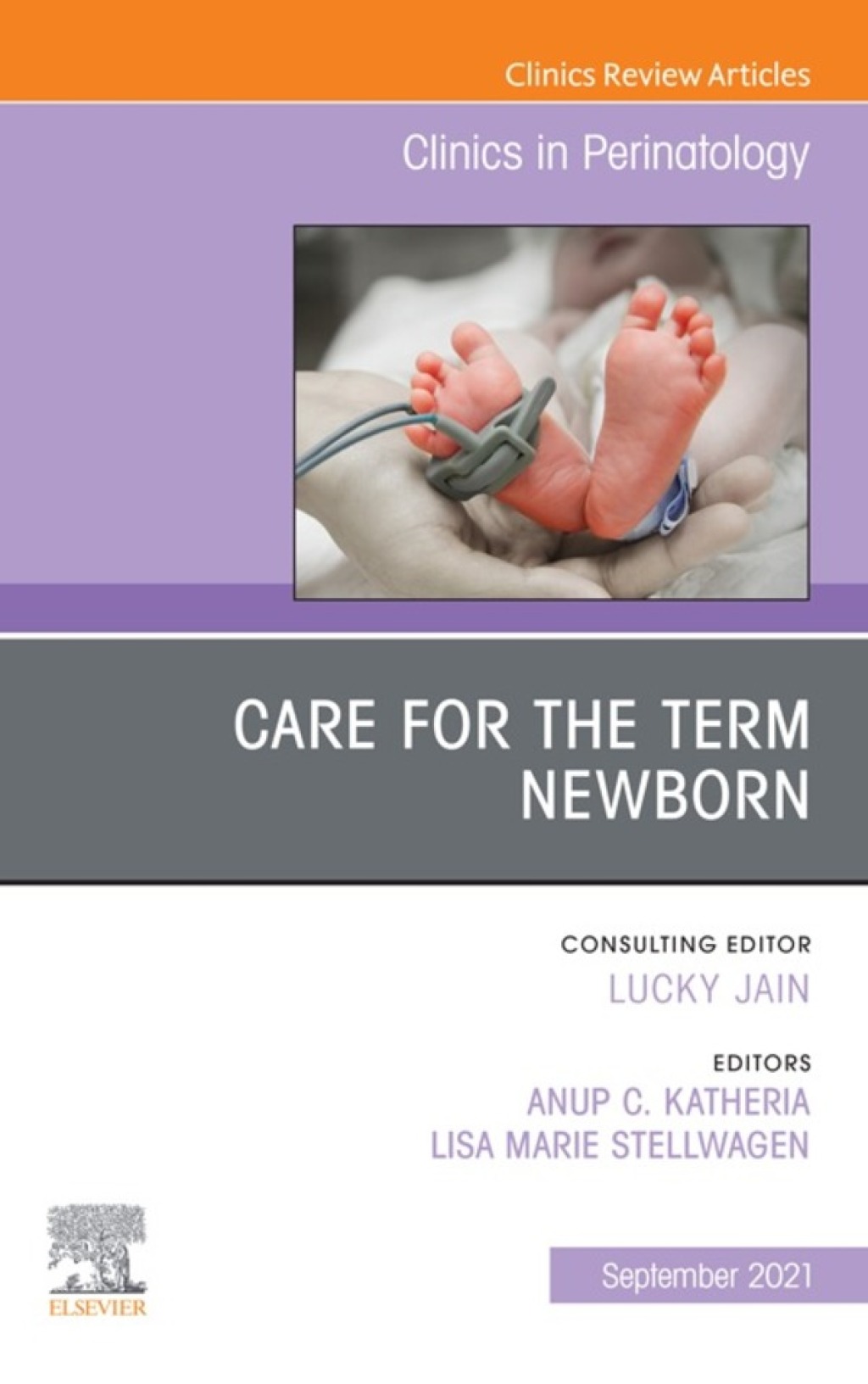 Care for the Term Newborn, An Issue of Clinics in Perinatology 