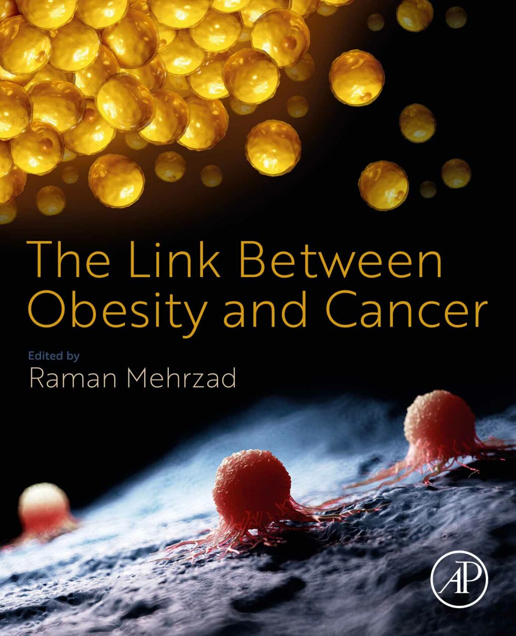 The Link Between Obesity and Cancer 1st Edition